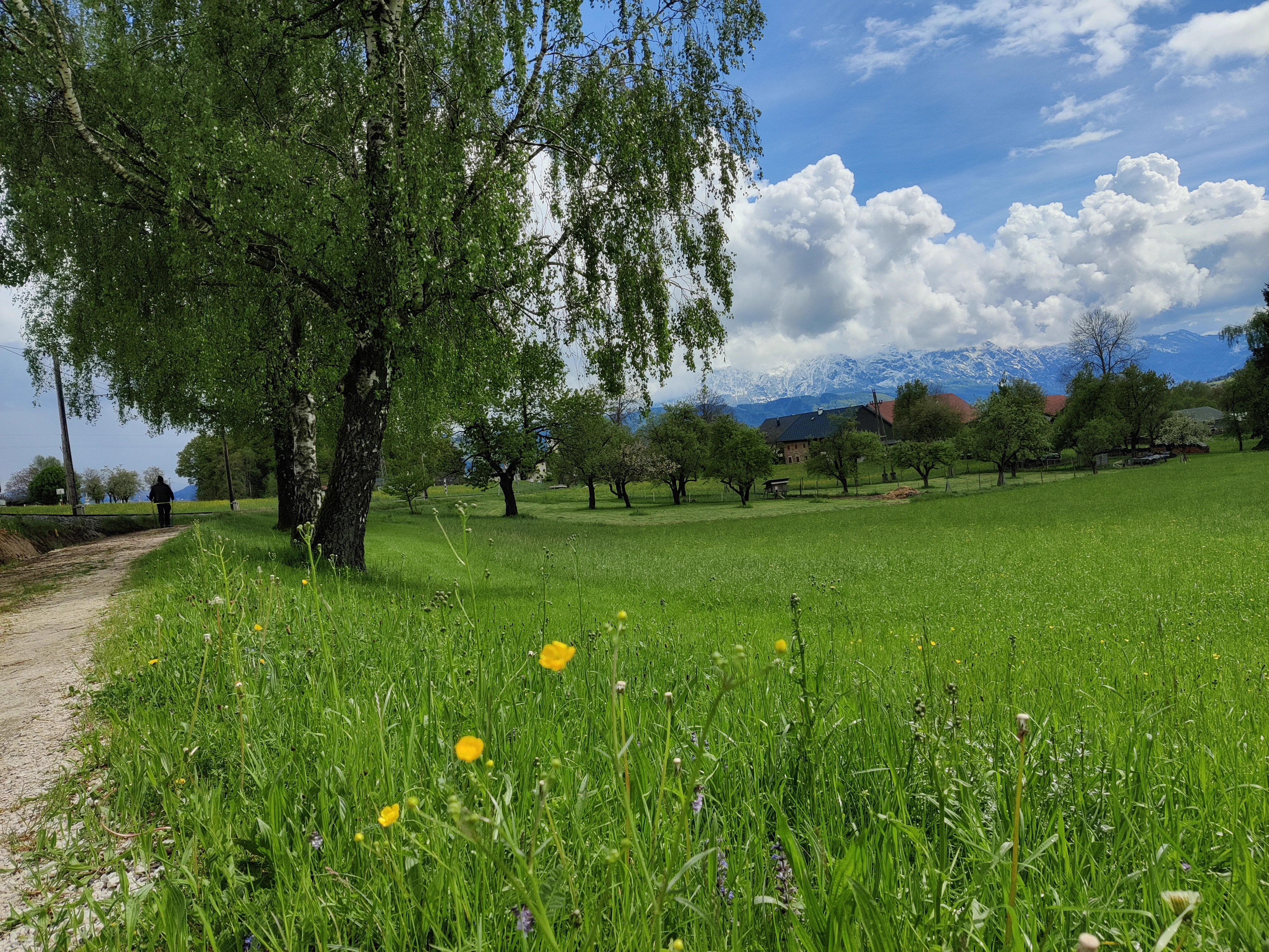 Attersee – Bild 11
