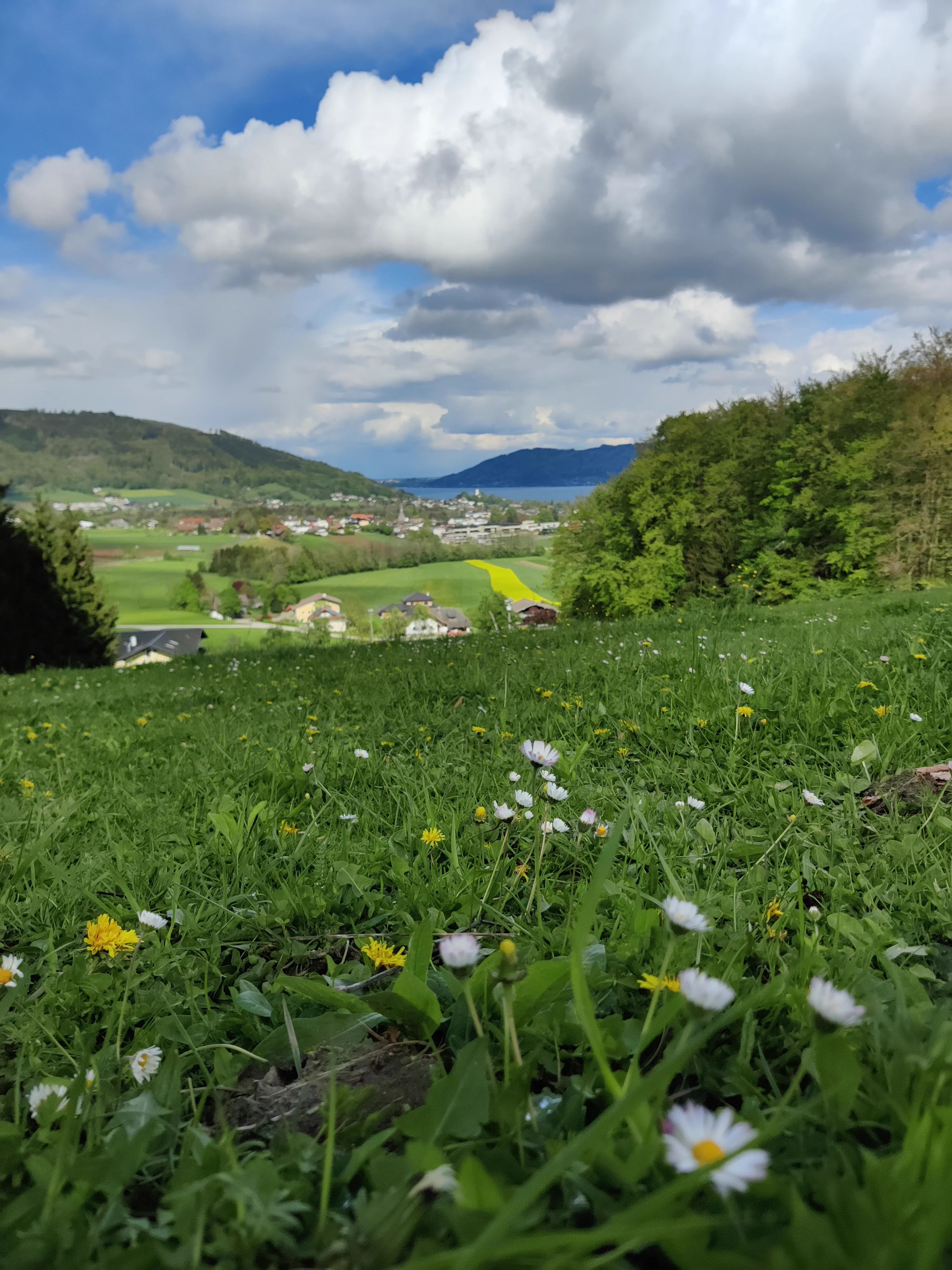 Attersee – Bild 15