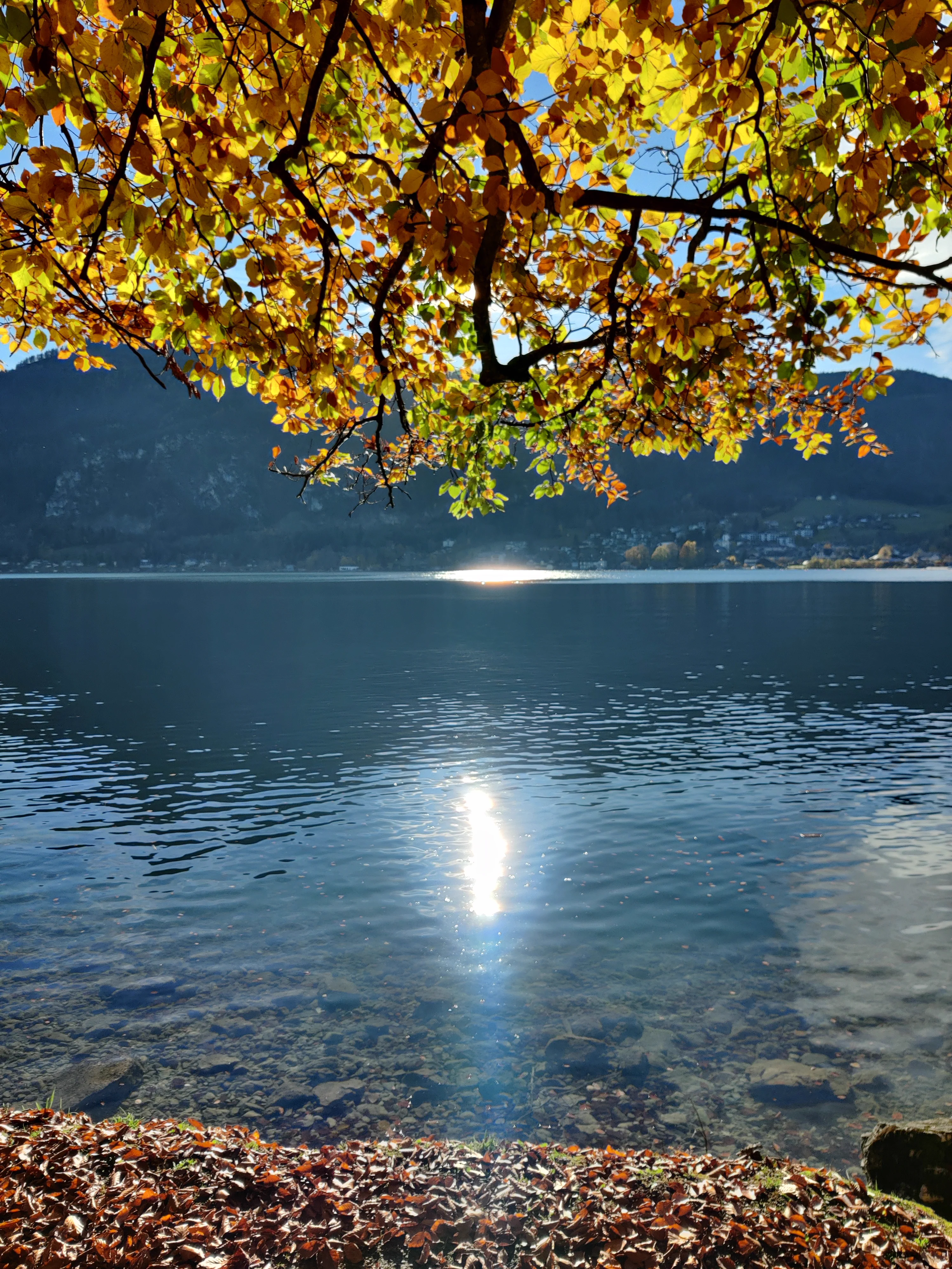 Attersee – Bild 19