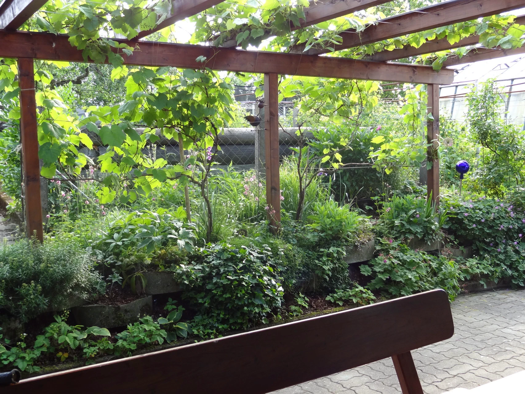 Garten – Bild 7